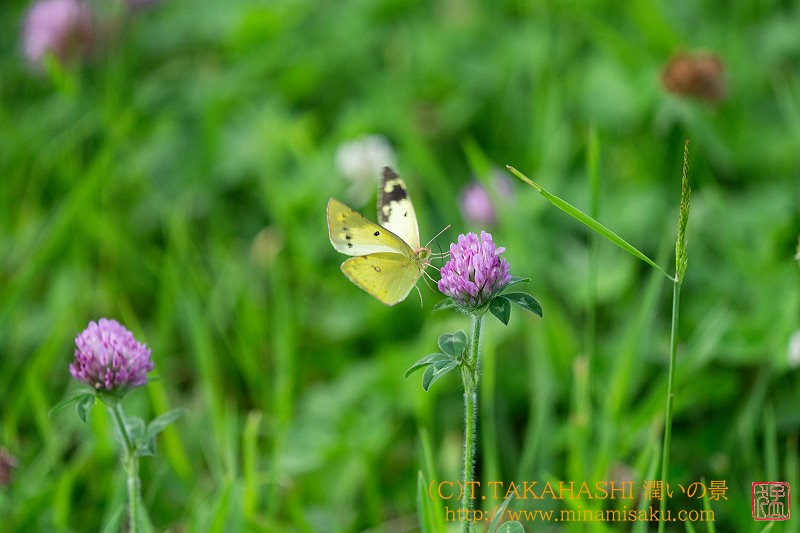 ../Images/7R240707 (83).jpg